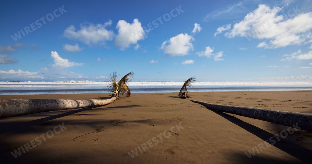 The pacific ocean view in Uvita Costa Rica National park on a sunny day
