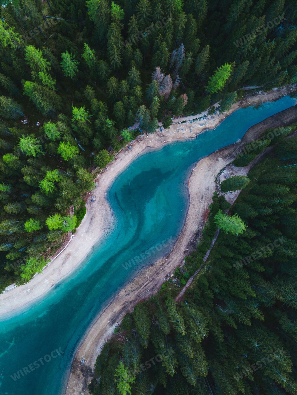 A vertical top view of beautiful glacial river surrounded with evergreen trees in Italy