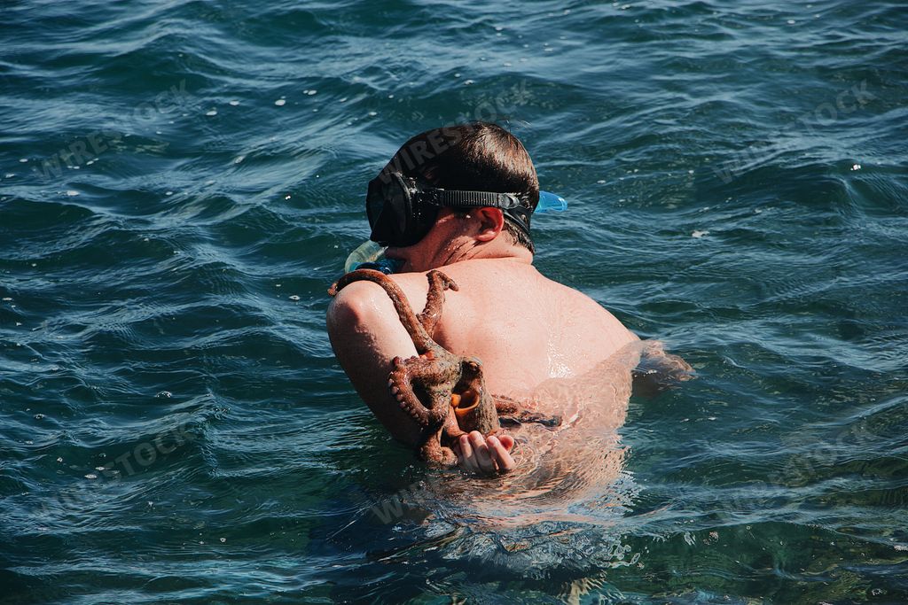 A male swimming in the sea and holding an octopus on his back