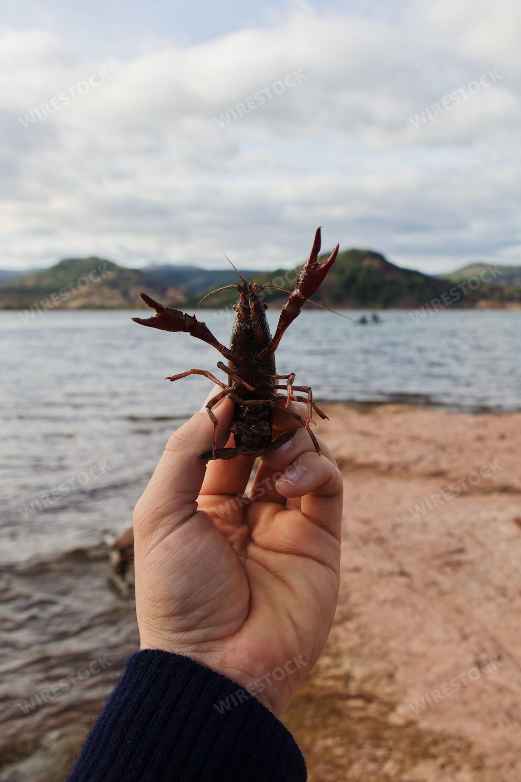 A vertical shot of a hand holding a crab on sea backgroun