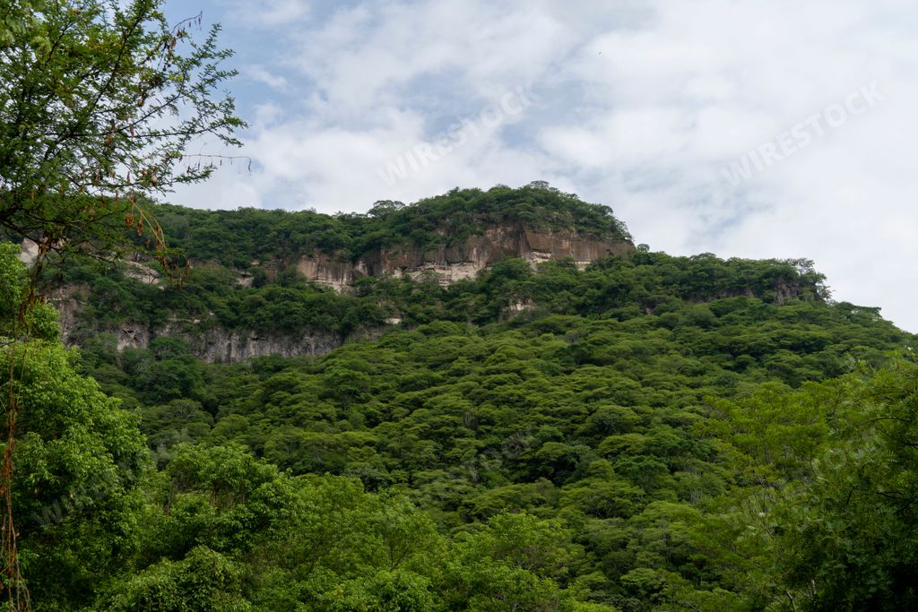 The Huentitan ravine in Guadalajara, full of vegetation in Mexico