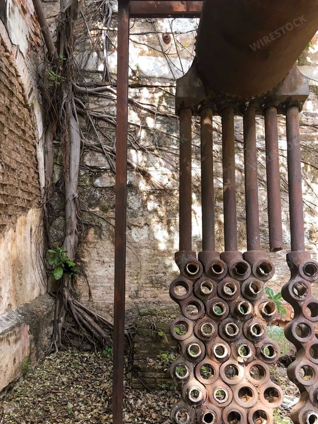 A vertical shot of an old abandoned building with dry ivy plants on the walls