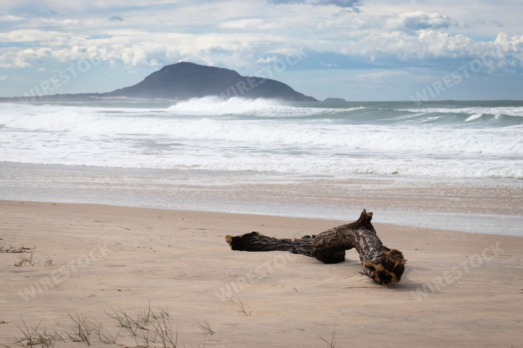 A beautiful view of a log on a sandy beach