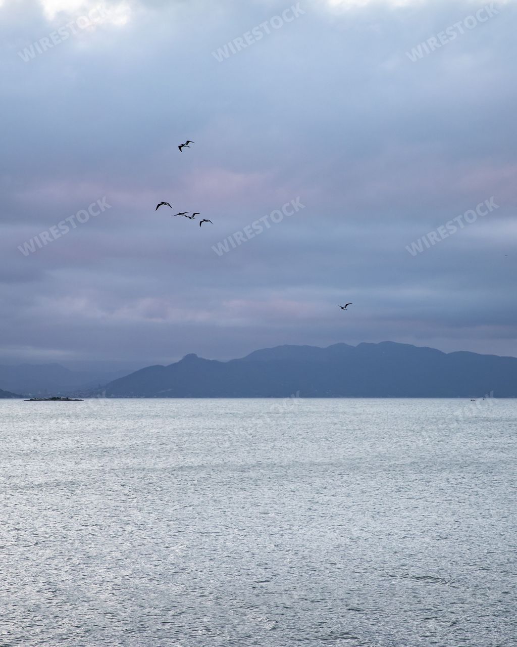 A vertical shot of a flock of birds flying against the cloudy sky and over the sea