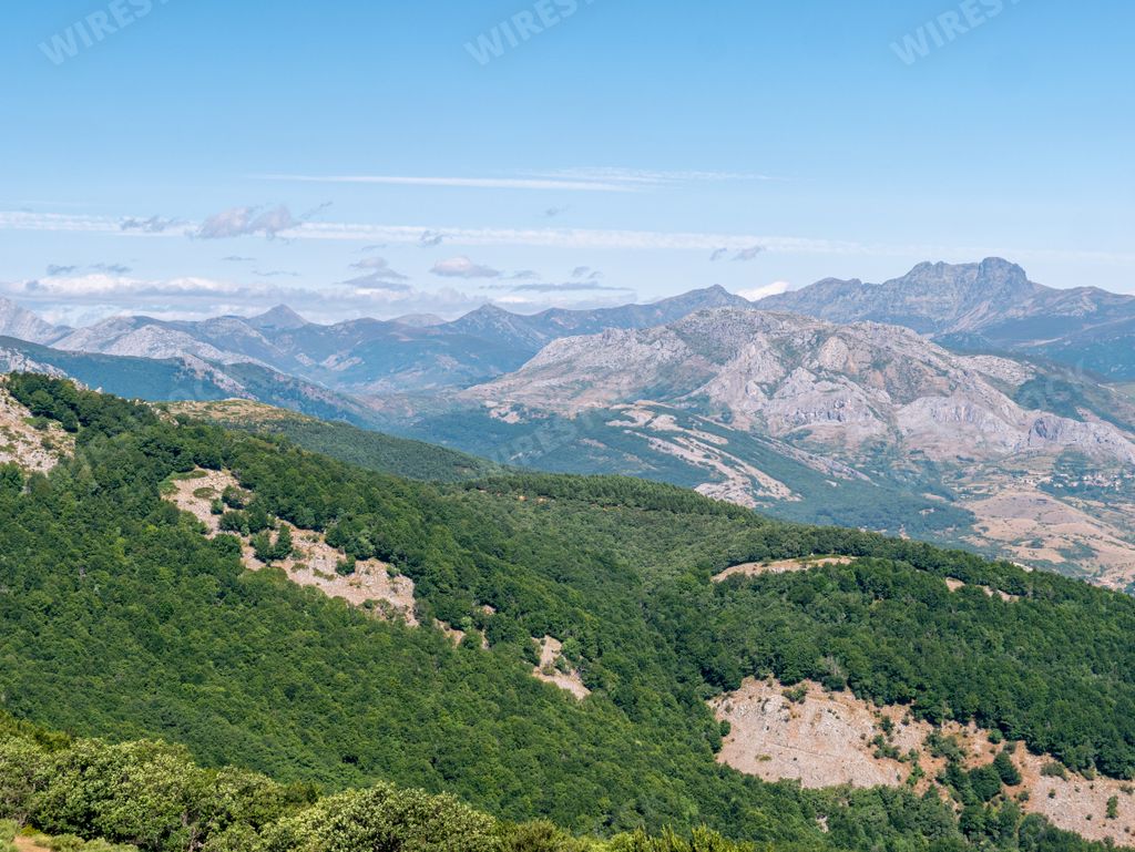 An aerial view of green forested mountains under the blue clear sky