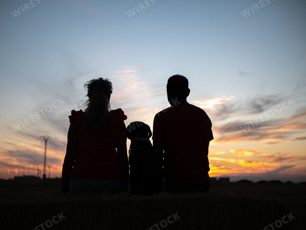 A back view of a romantic young couple with their dog looking at the sunset on a beach