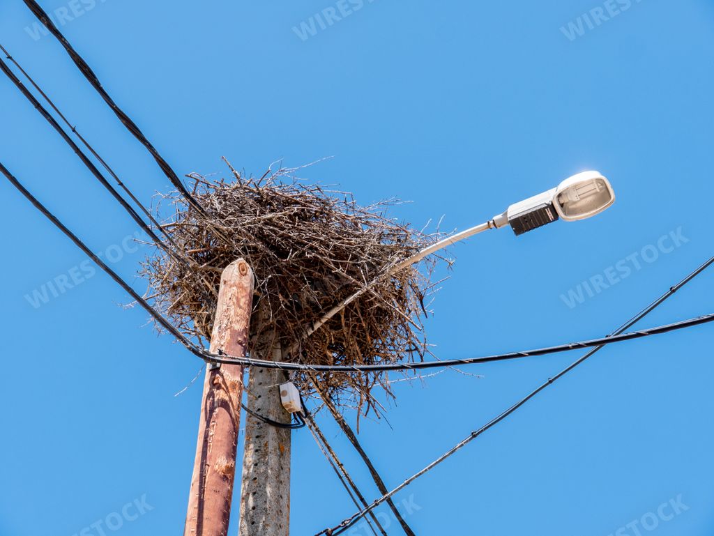 A low angle shot of a bird nest on a lamppost against a blue sky