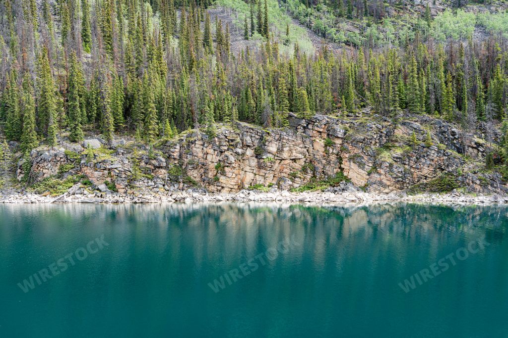 A beautiful shot of turquoise lake with pine trees in background in Banff, Jasper National Park, Canada