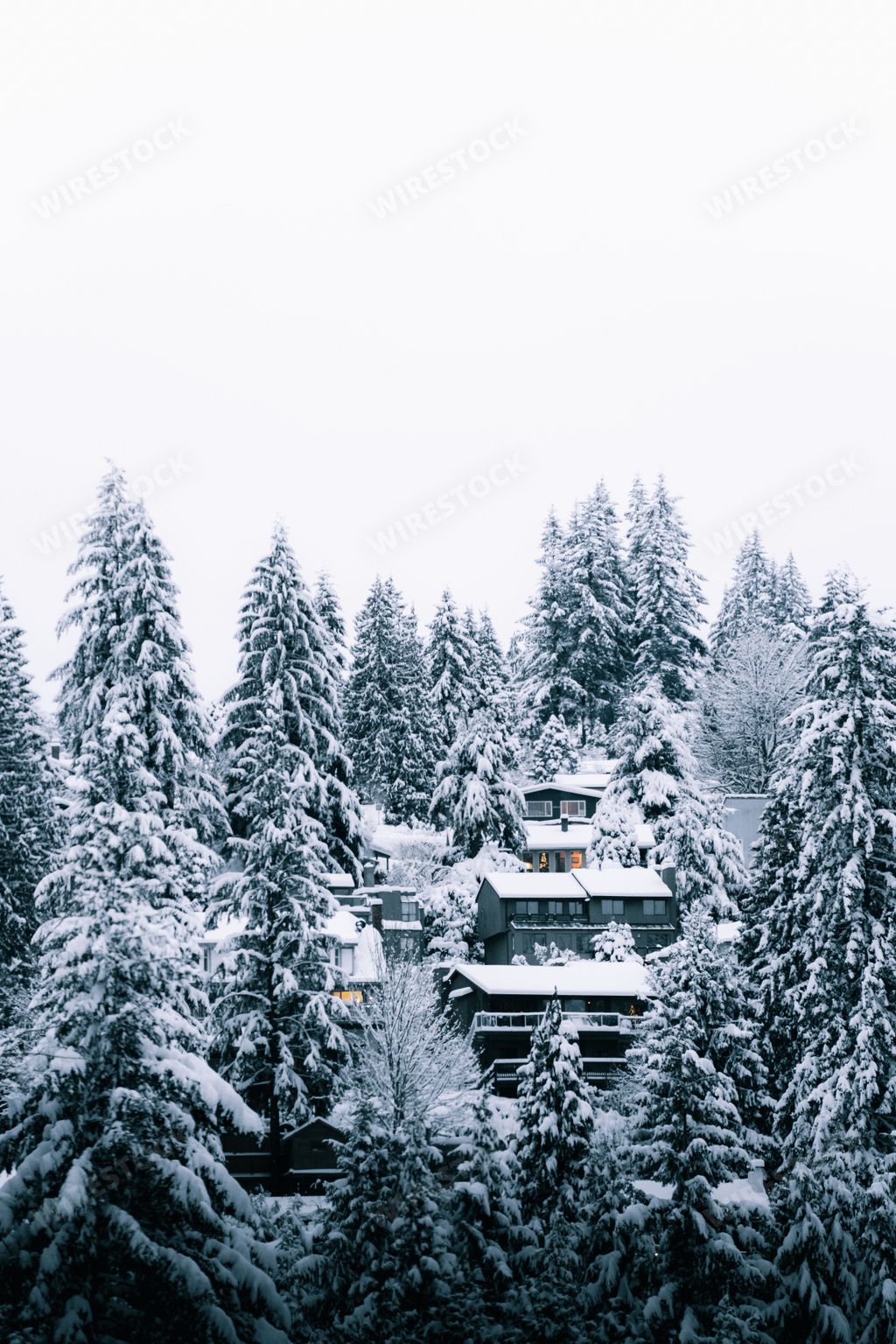 A cozy winter cottage situated in the snowy mountains, surrounded by evergreen trees, Canada