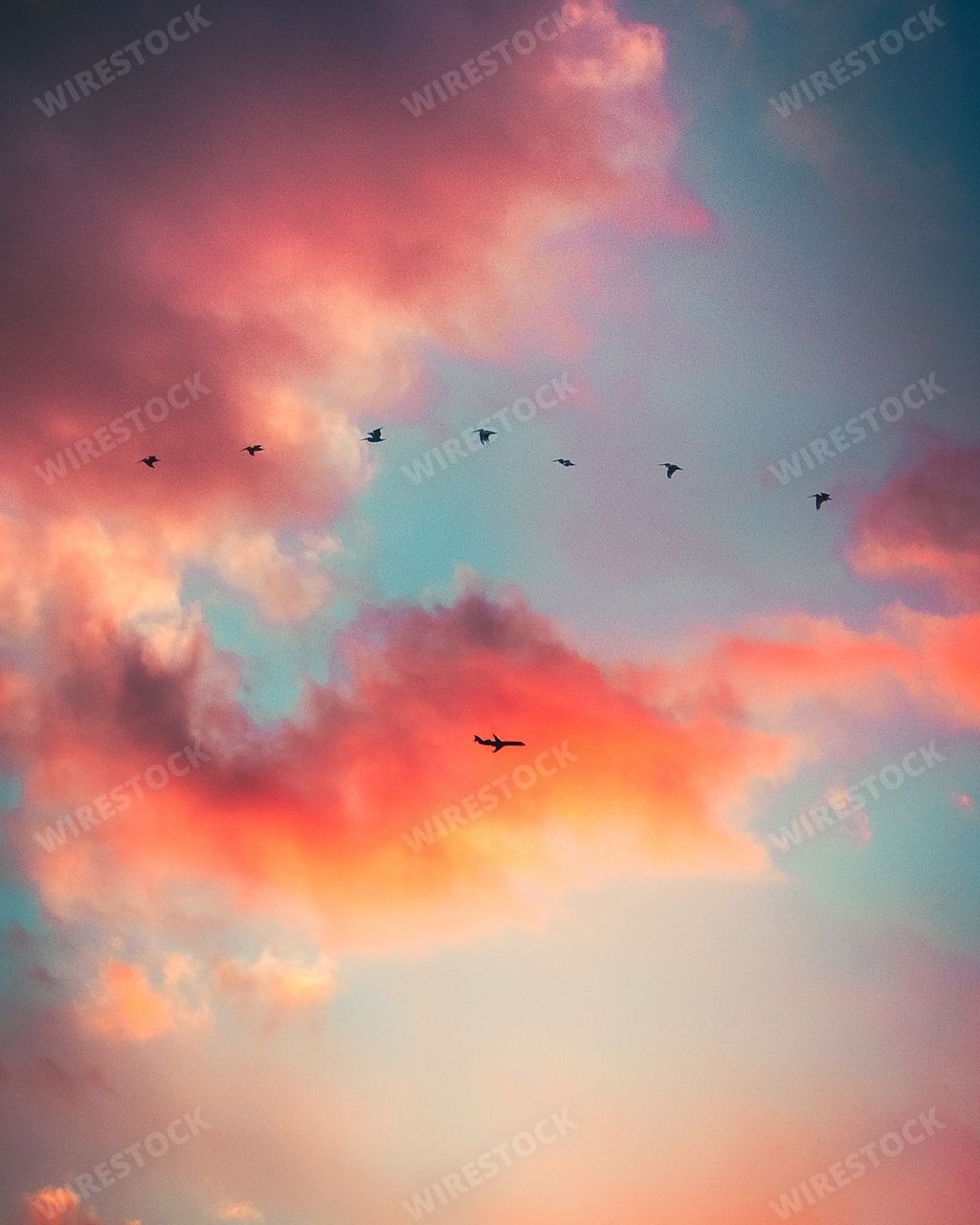 A beautiful vertical silhouette shot of birds flying in a blue sky with pink clouds