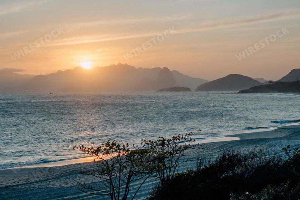 A plants silhouette and sea with mountain behind at sunrise