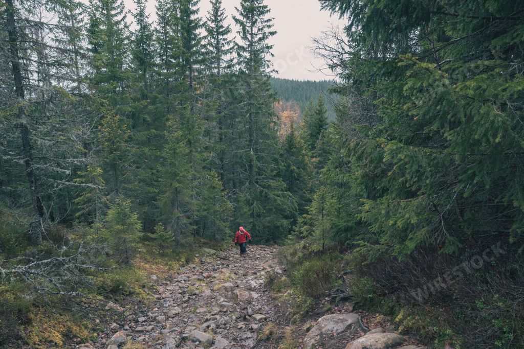 A scenic view of a person walking on Holokampen Hill, the Totenaasen Hills, Norway on a cloudy day