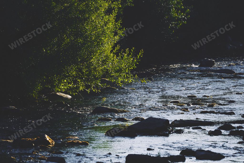 A beautiful view of a river flowing in the forest in Oppland, Norway