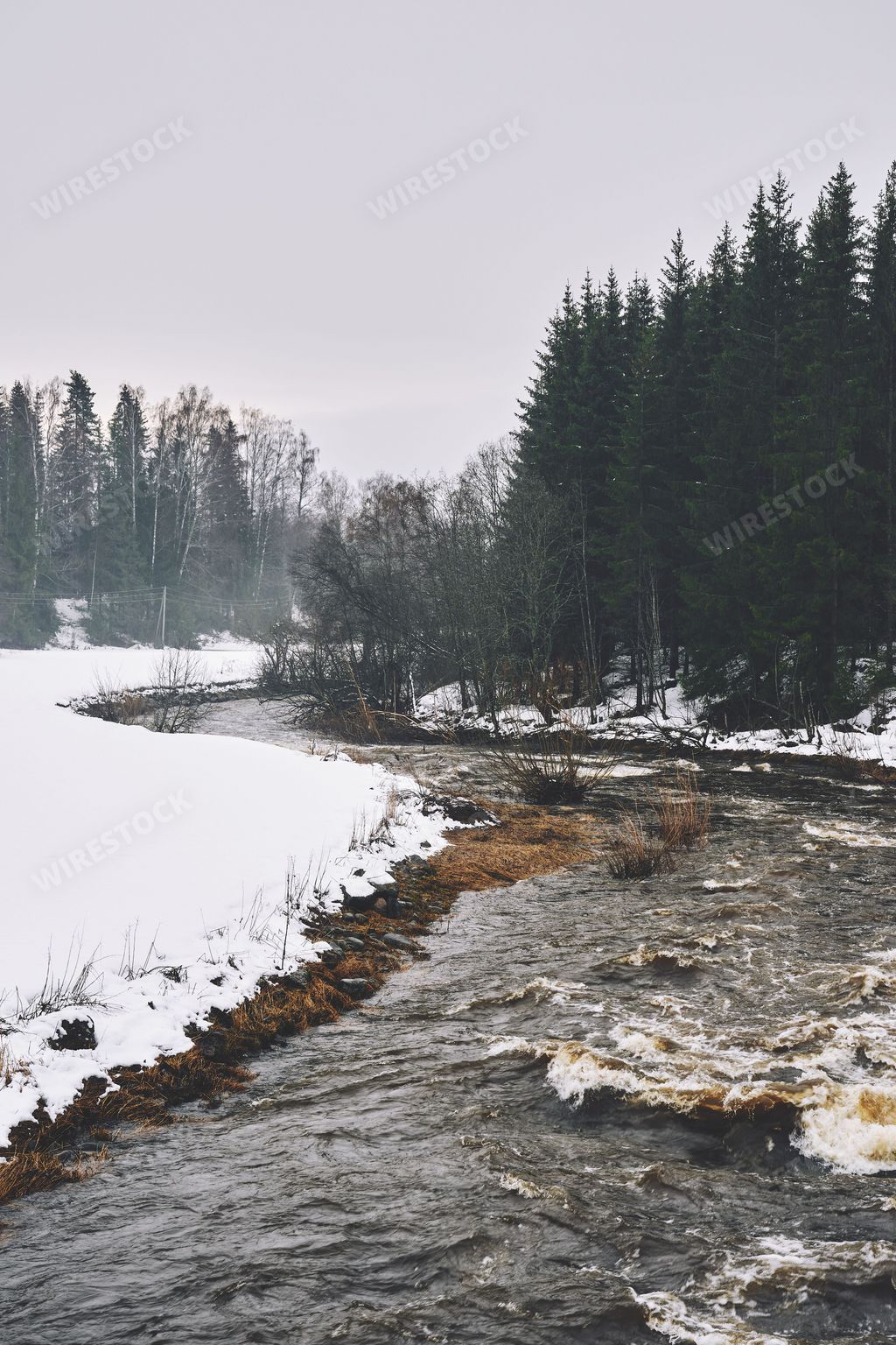 A picturesque winter scene with snow-covered trees and a tranquil stream near Lake Mjosa in Norway