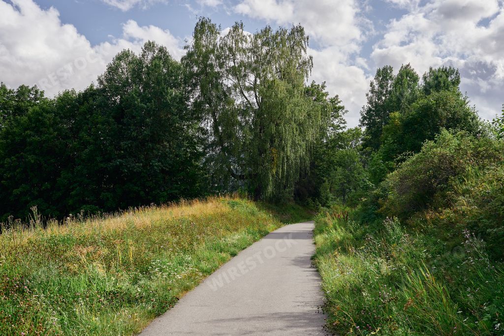 A narrow asphalt road surrounded by grass and trees in Toten, Norway