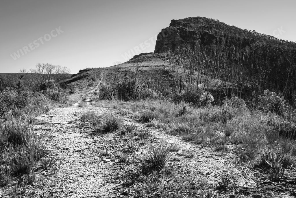 Black and white photo of mount banks in blue mountains of nsw in Austra