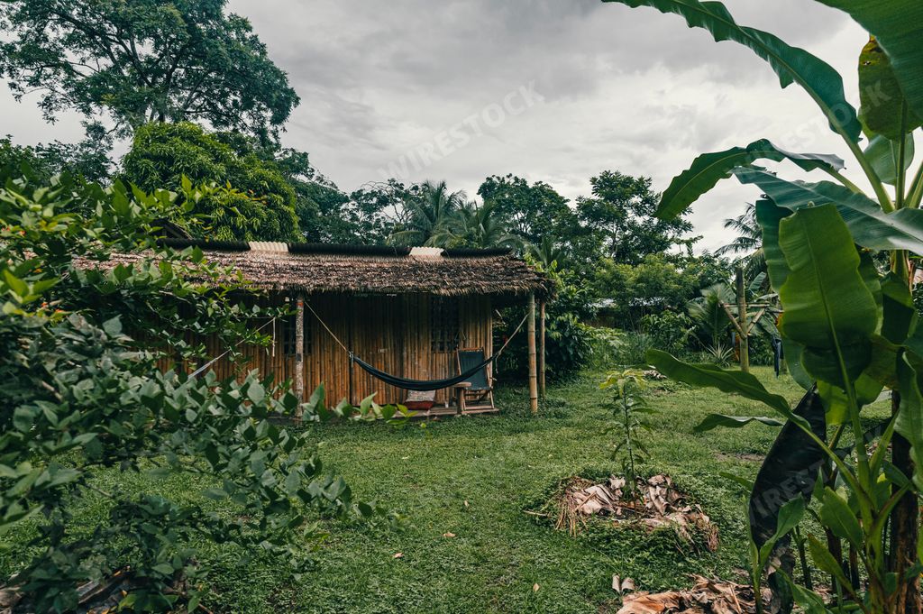 A small house in the green plantation field in Punta Mona, Costa Rica, Central America