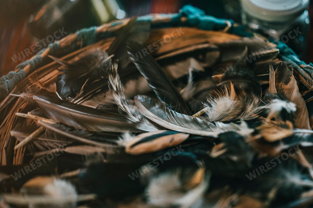 A wicker basket with many animal feathers in the barn in Punta Mona, Costa Rica, Central America
