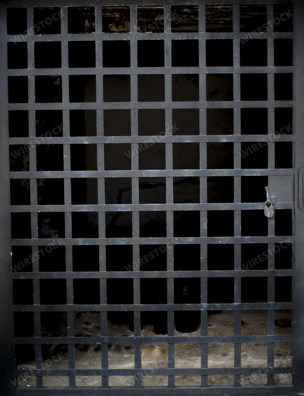 A vertical shot of an empty cage door with a metal lock