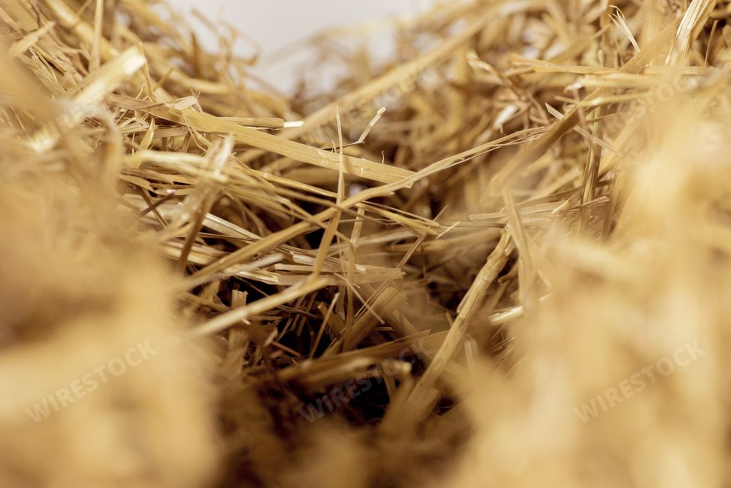 A closeup shot of dry hay for background or wallpaper