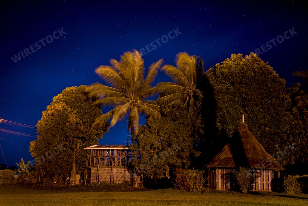 A beautiful shot of wooden shelters near the palm tree under a blue sky