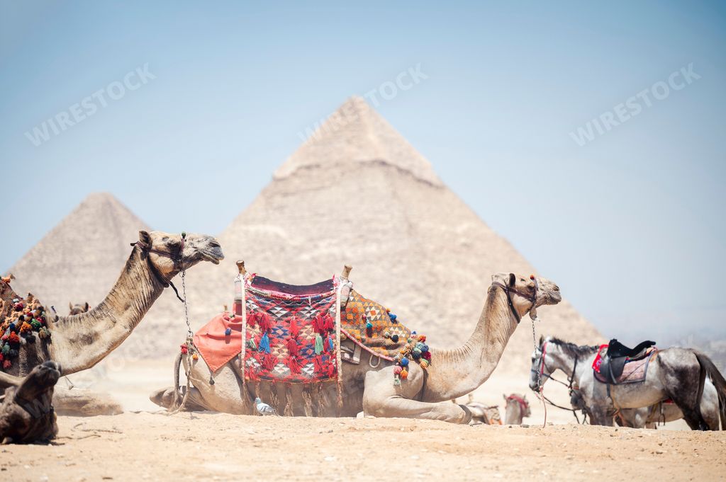 A closeup of the pyramids in Cairo, Egypt