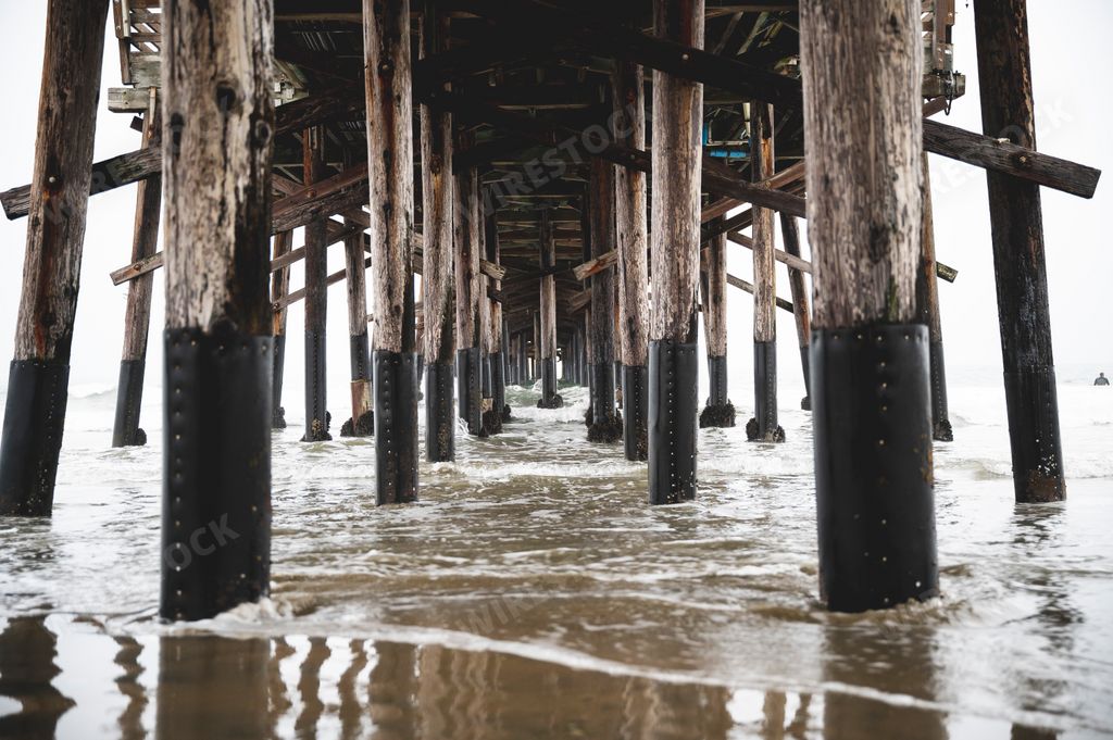 The wooden poles under the pier on the coast