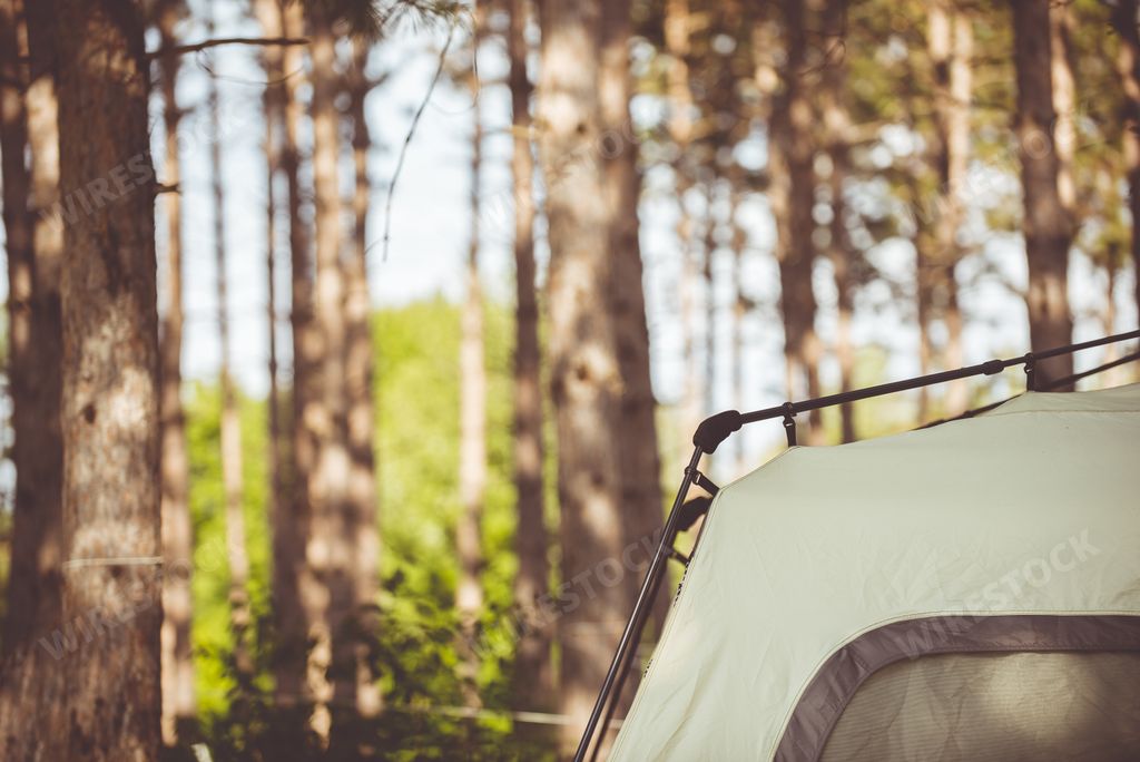 A closeup shot of a tent in the forest with blurred trees in the background at daytime