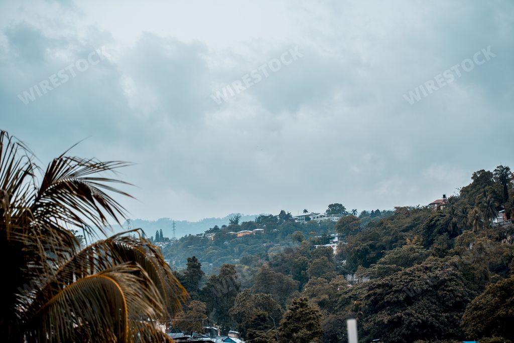 A beautiful shot of houses on the hill in the middle of trees under a cloudy sky