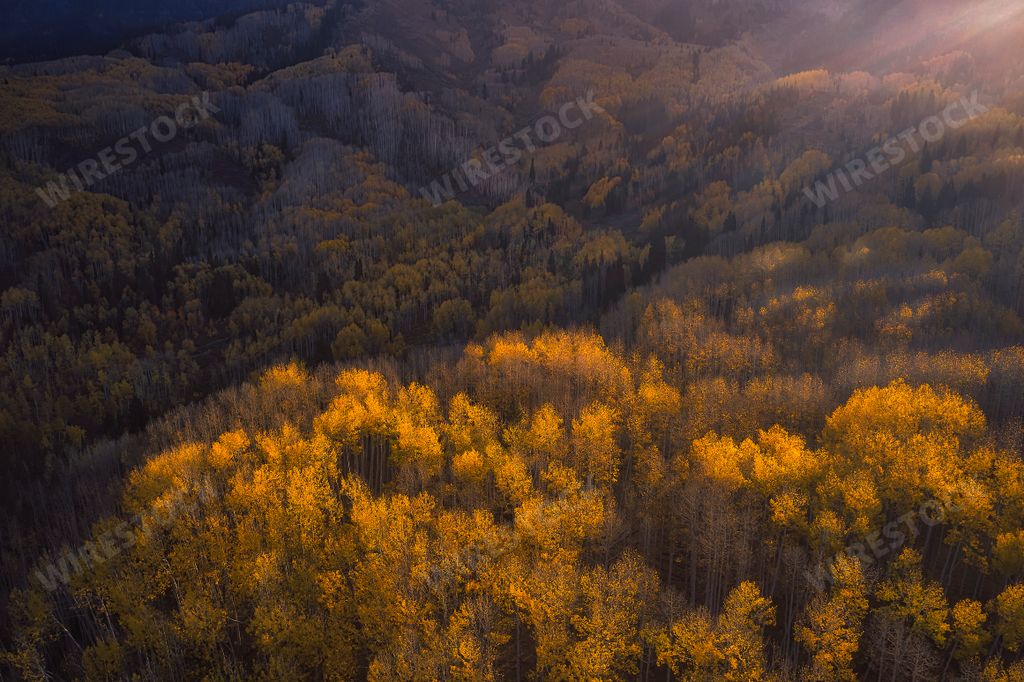 A scenic view featuring a vast landscape of mountains and tall trees basking in the warm sunlight