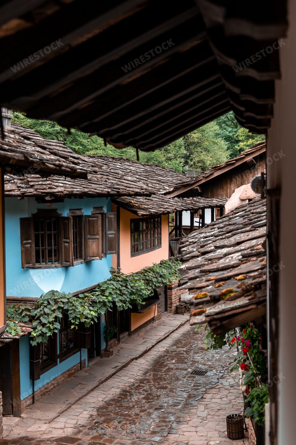 A vertical shot of old historical and typical houses in Bulgarian