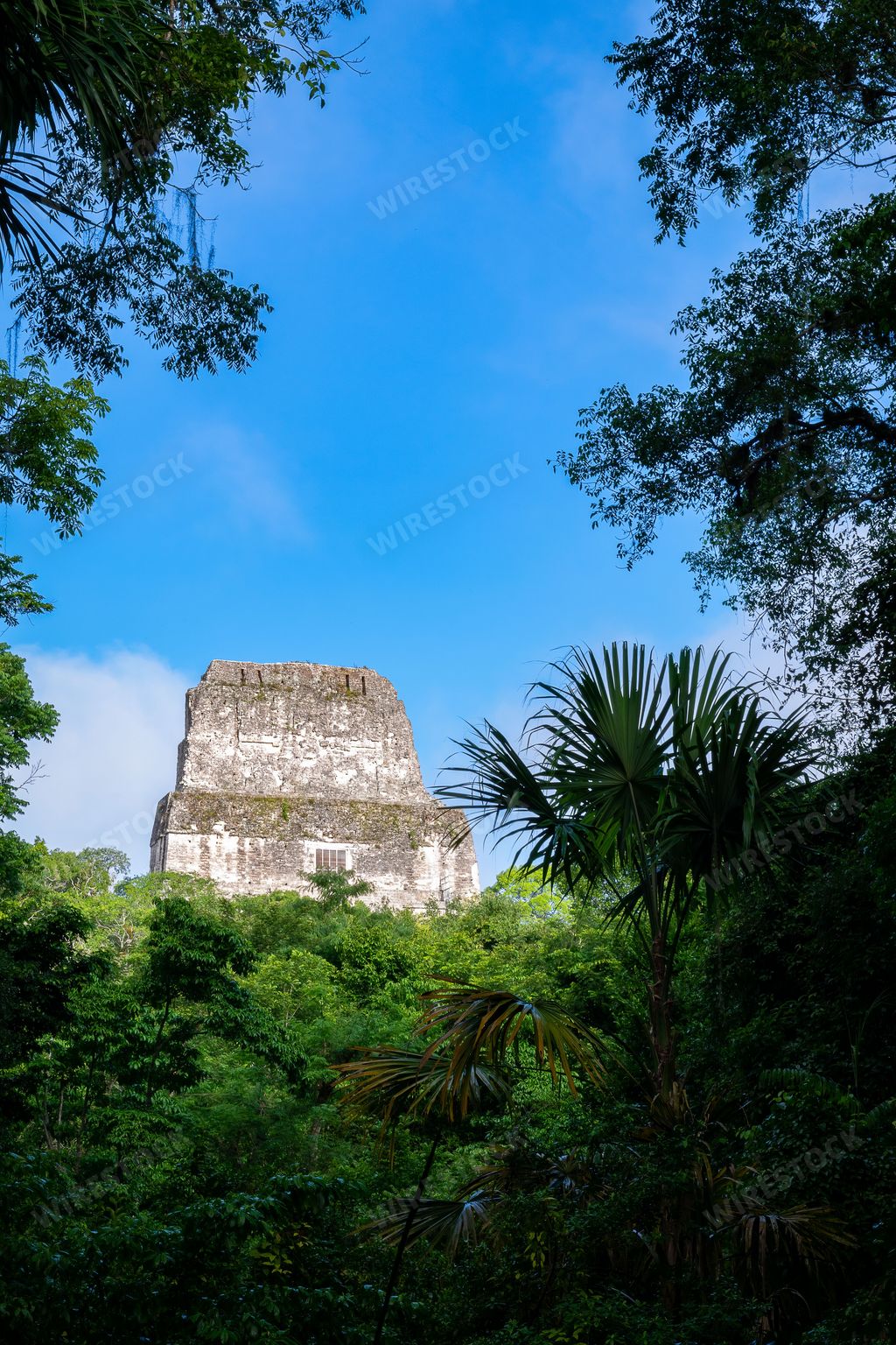 A vertical shot of archaeological site Tikal Temple IV in Peten Department, Guatemala