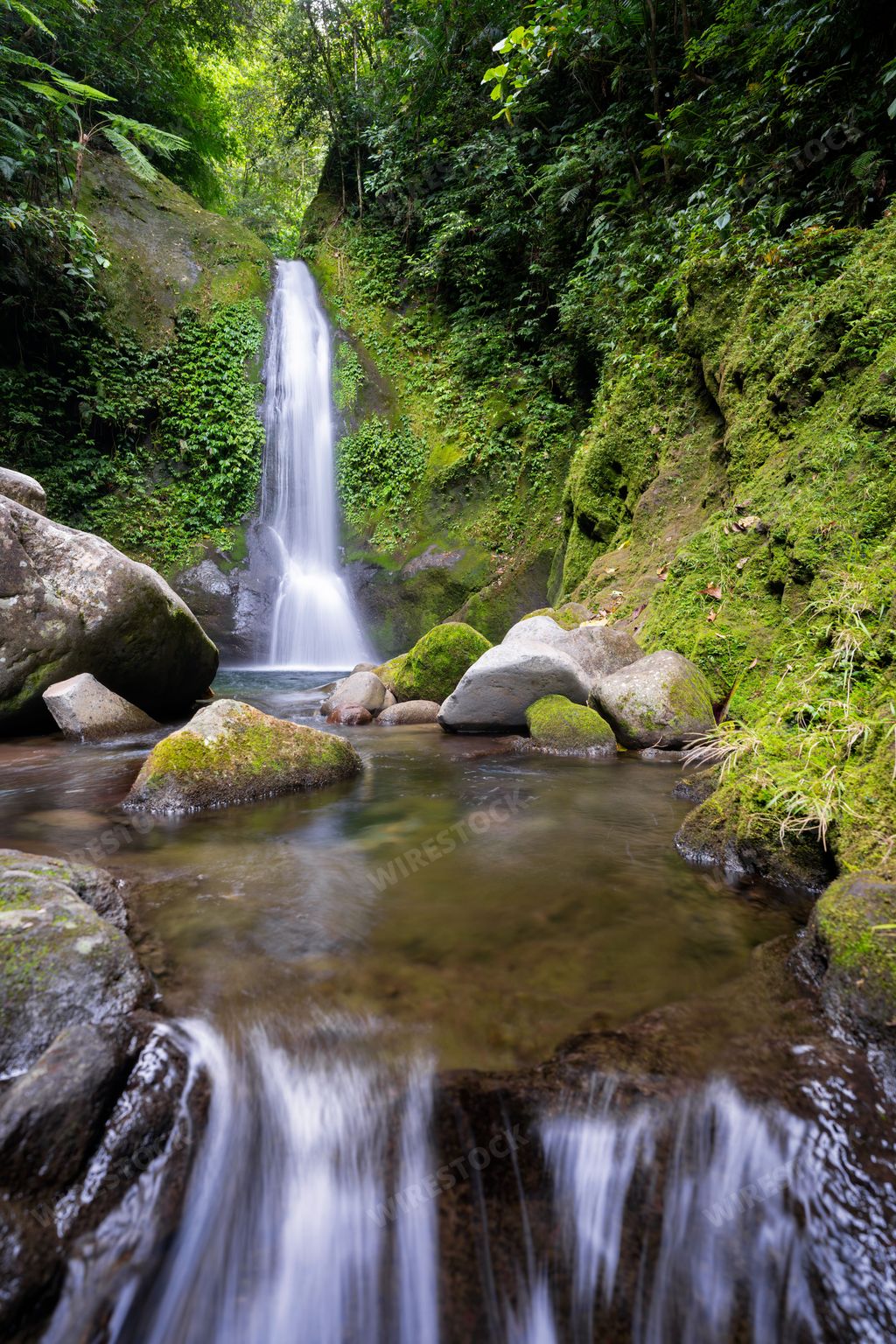 A vertical of Binangawan Falls, Camiguin Island, Philippines