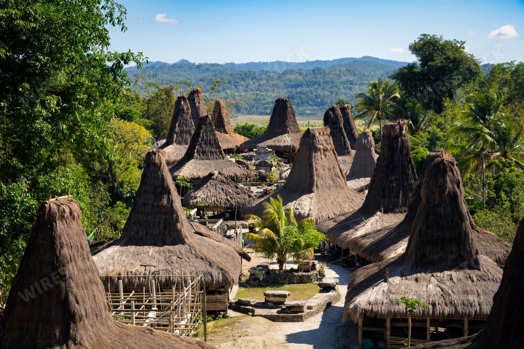 The thatched roofs of houses in Kampung Praijing, Sumba Island, Indonesia
