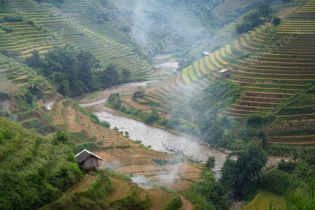 An aerial view of numerous rice terraces in Mu Cang Chai District, Vietnam