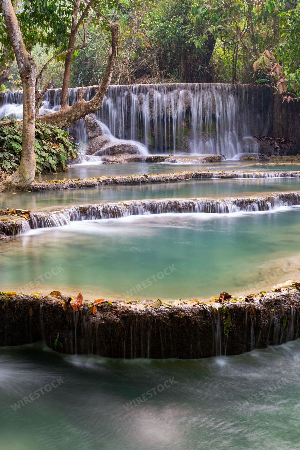 A vertical of Kuang Si Waterfall in a forest in Luang Prabang, Laos