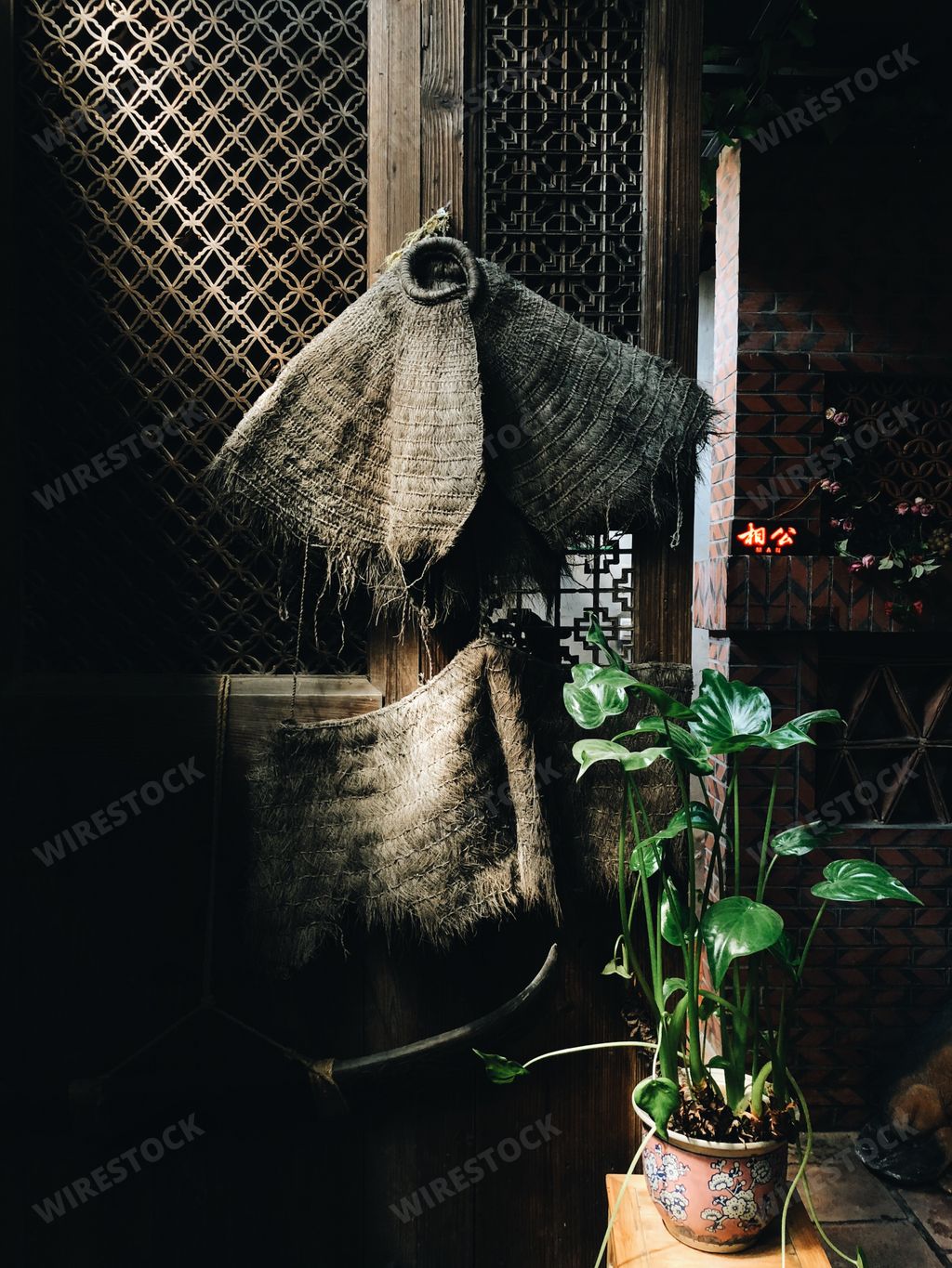 A vertical picture of a houseplant on the table near an old wooden door under the lights