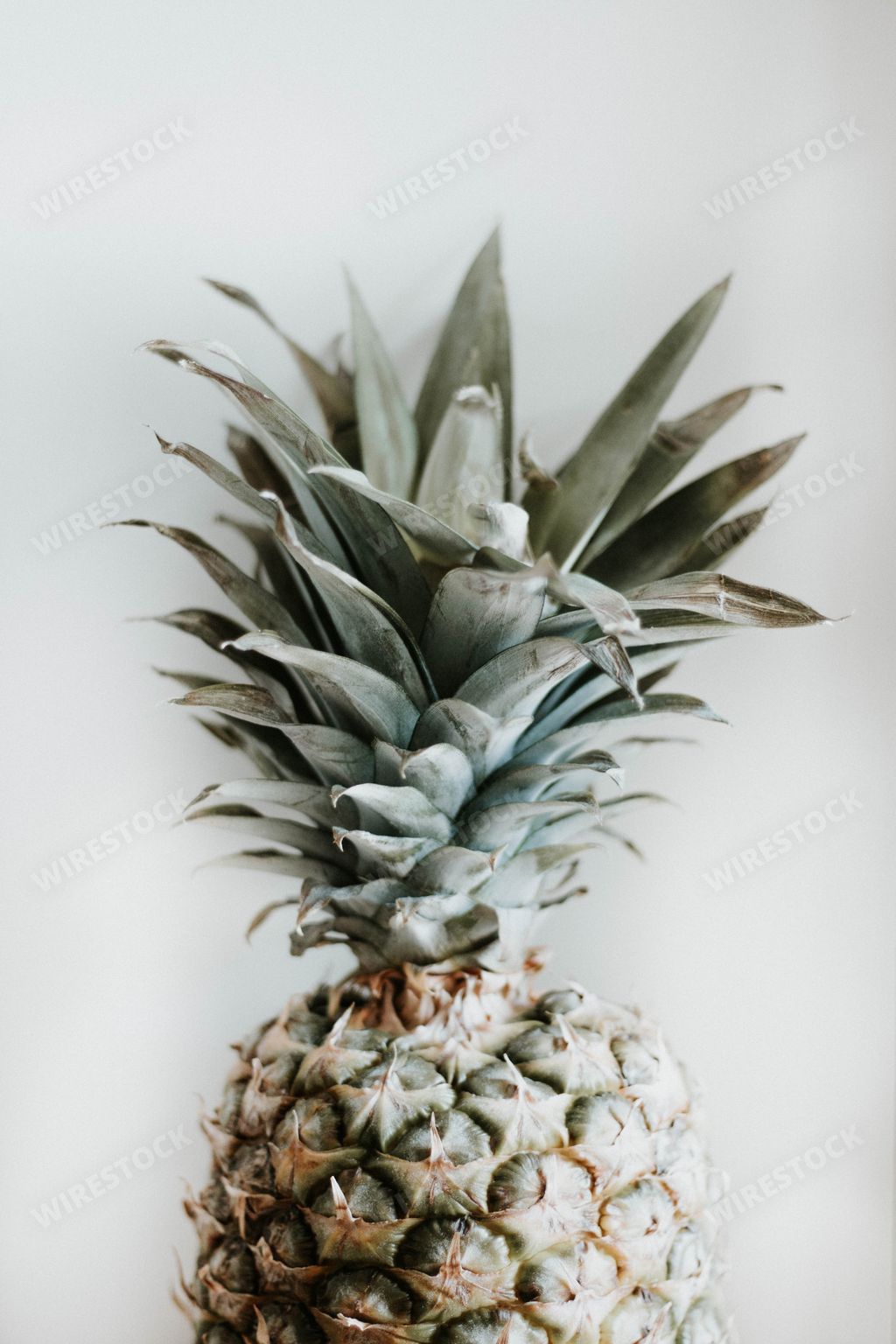 A vertical close up shot of pineapple in front of a white wall