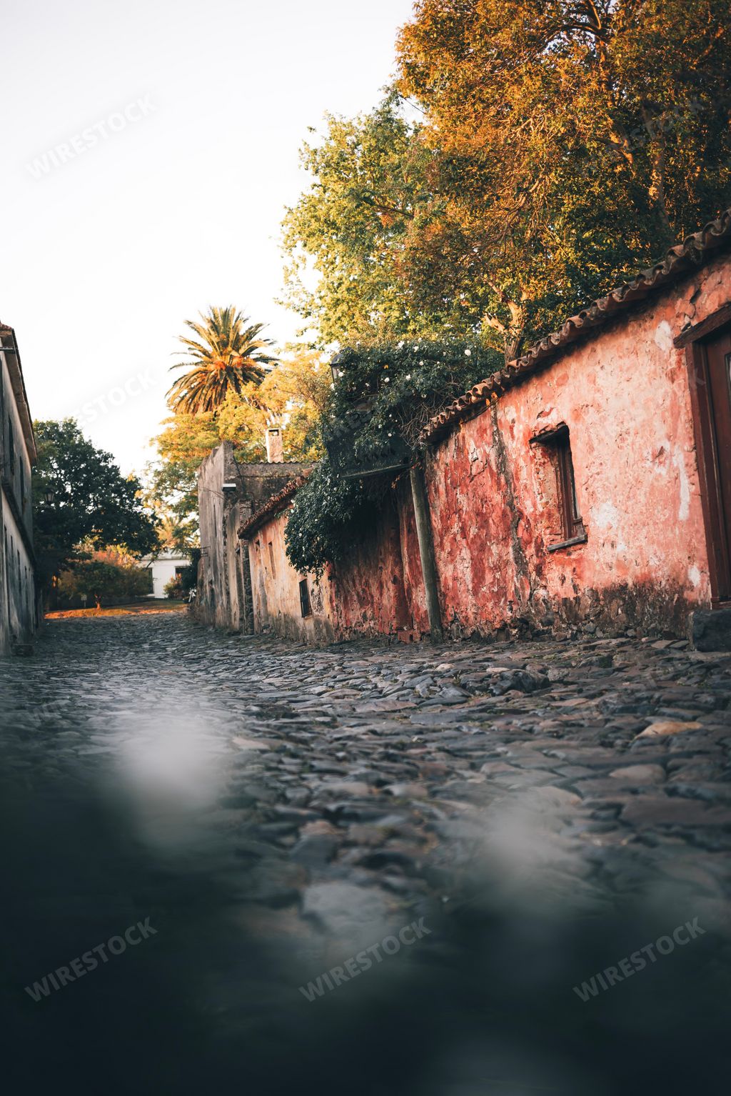 A vertical ground level shot of a paved street in Colonia del Sacramento city in Uruguay