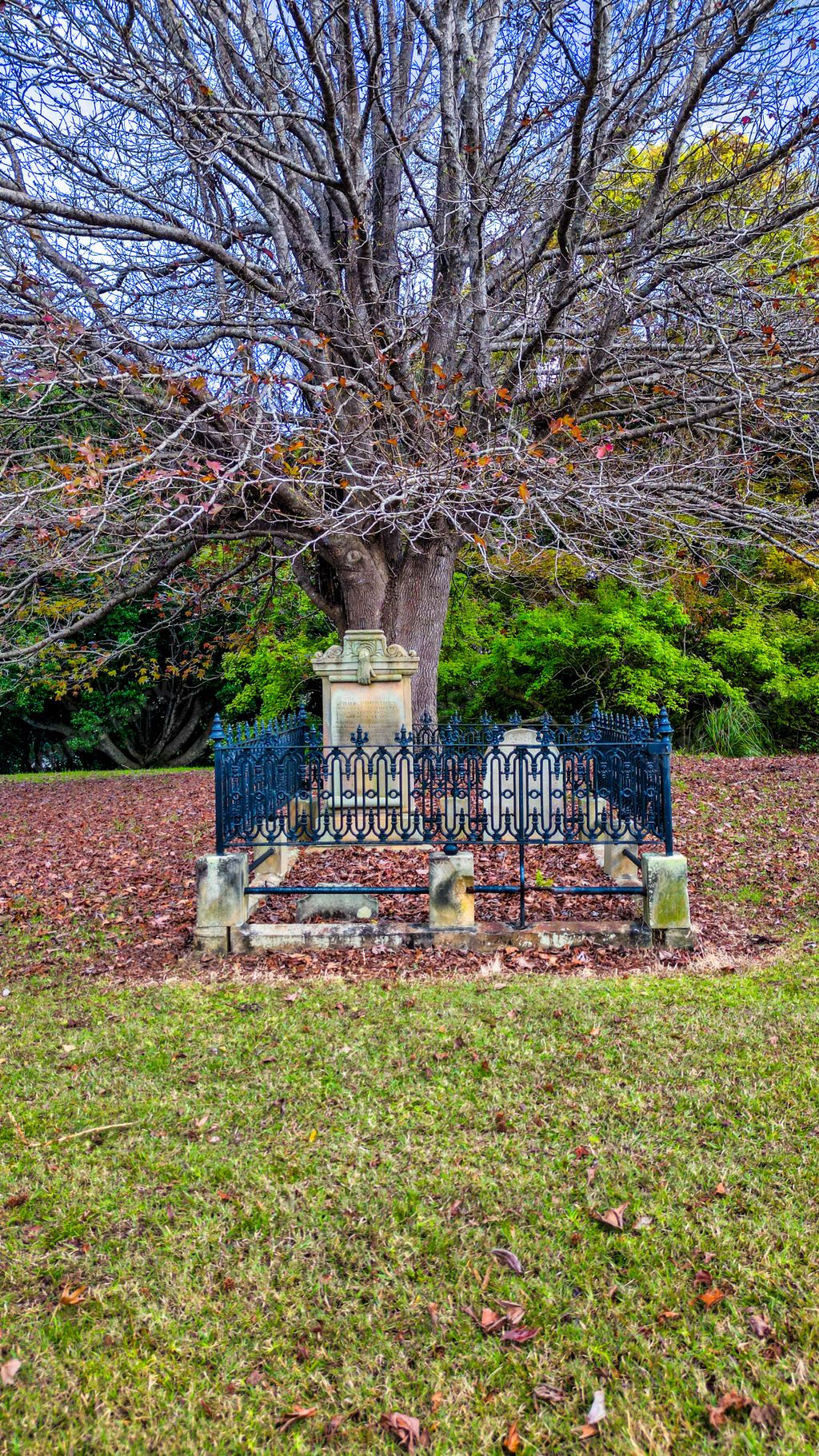 The Kooloonbung Creek Nature Reserve and Historic Cemetery in Port Macquarie, NSW, Australia