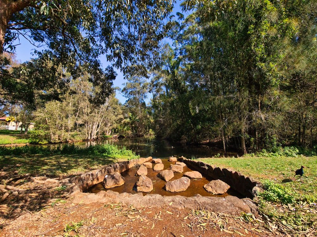 A beautiful view of a lakeside with rocks surrounded with greenery in Port Macquarie, NSW, Australia