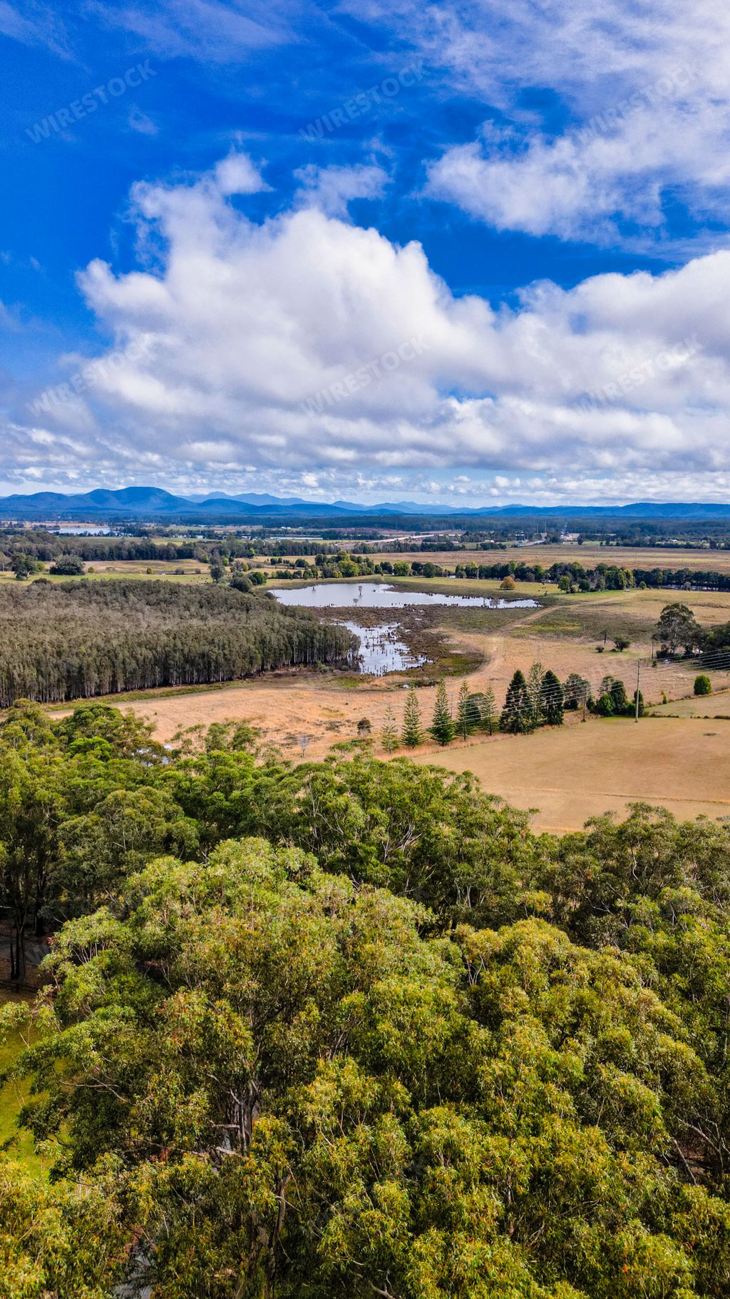 The vertical aerial view of fields and trees under the blue sky in the countryside of Fernbank Creek