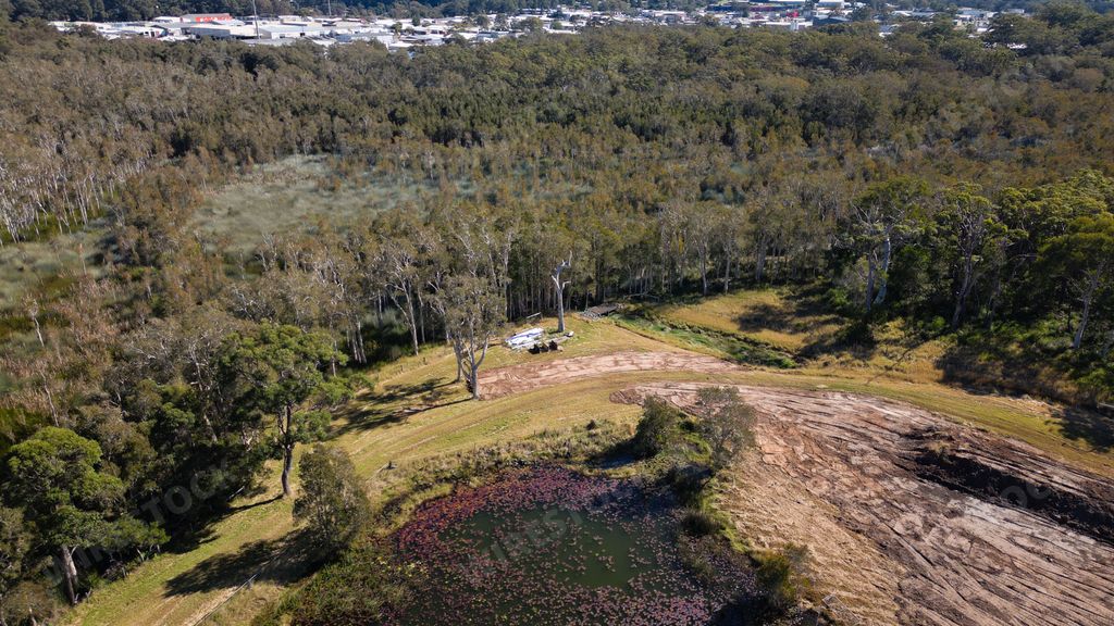 A bird's-eye view of a swamp surrounded by trees in Dahlsford, Australia