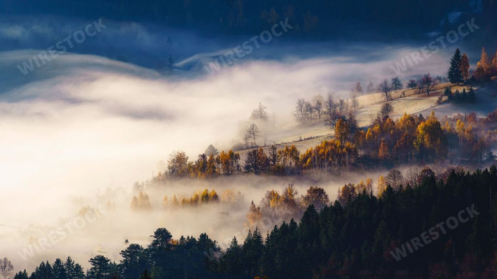An aerial view of a beautiful forest near Tara Mountain, Serbia