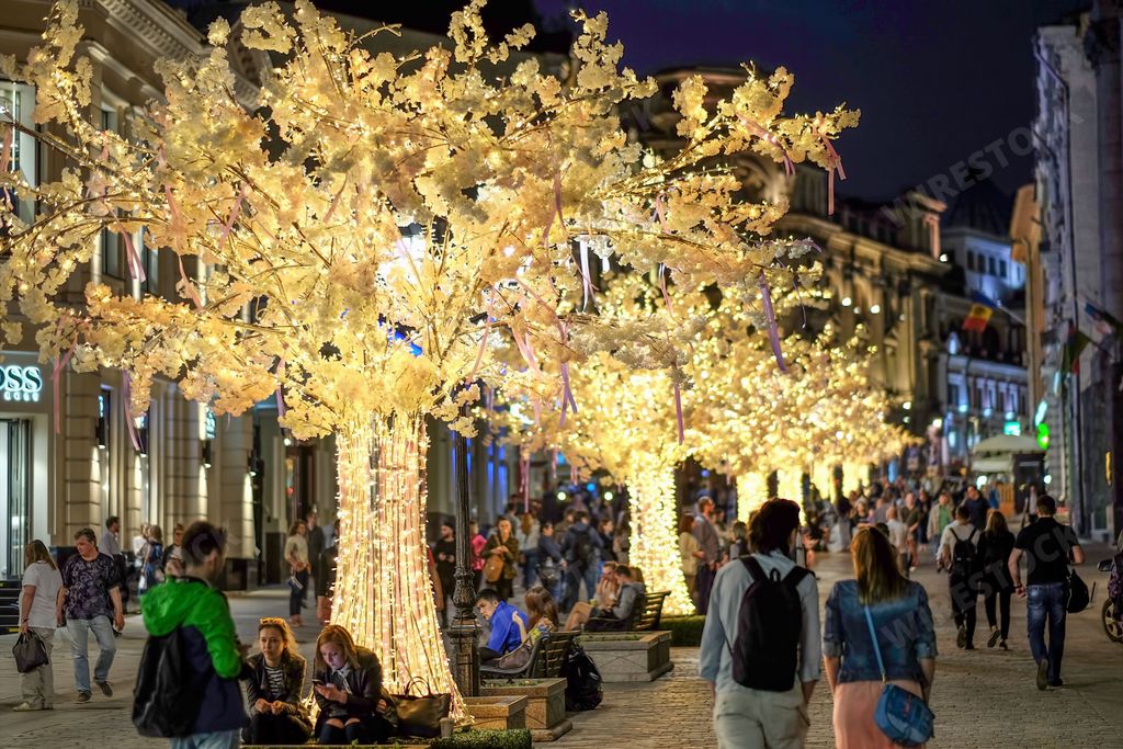 The street in Moscow at night with illuminated tree decorations
