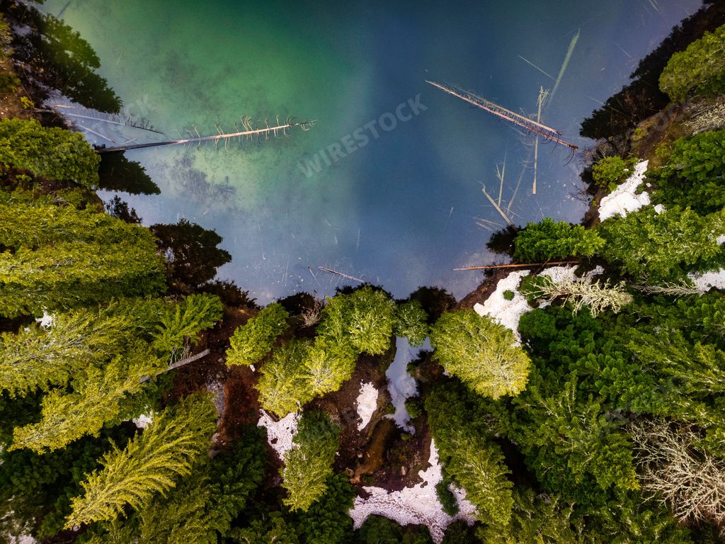 An aerial view of the Zminje lake surrounded by high green trees Durmitor national park, Montenegro