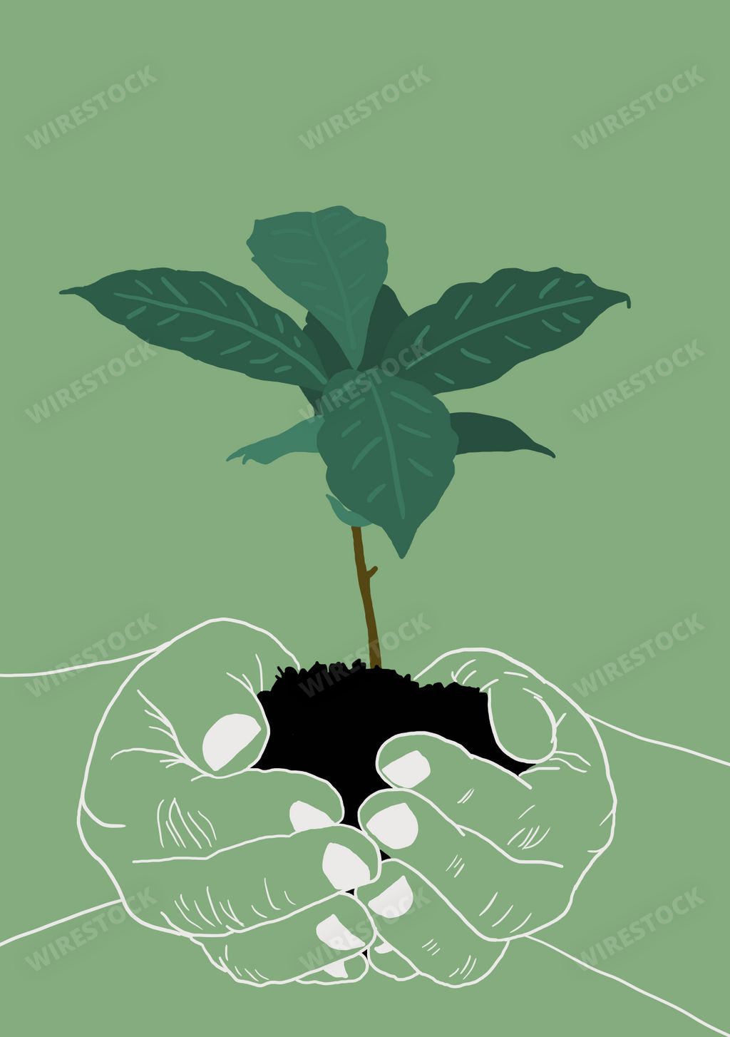 Vertical illustration of hands holding a plant growing on a green background