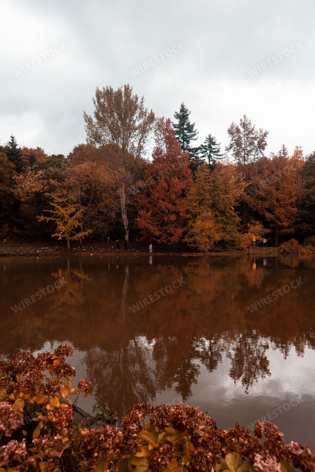 The shallow pond surrounded by colorful autumn trees in a botanical garden in Istanbul, Turkey