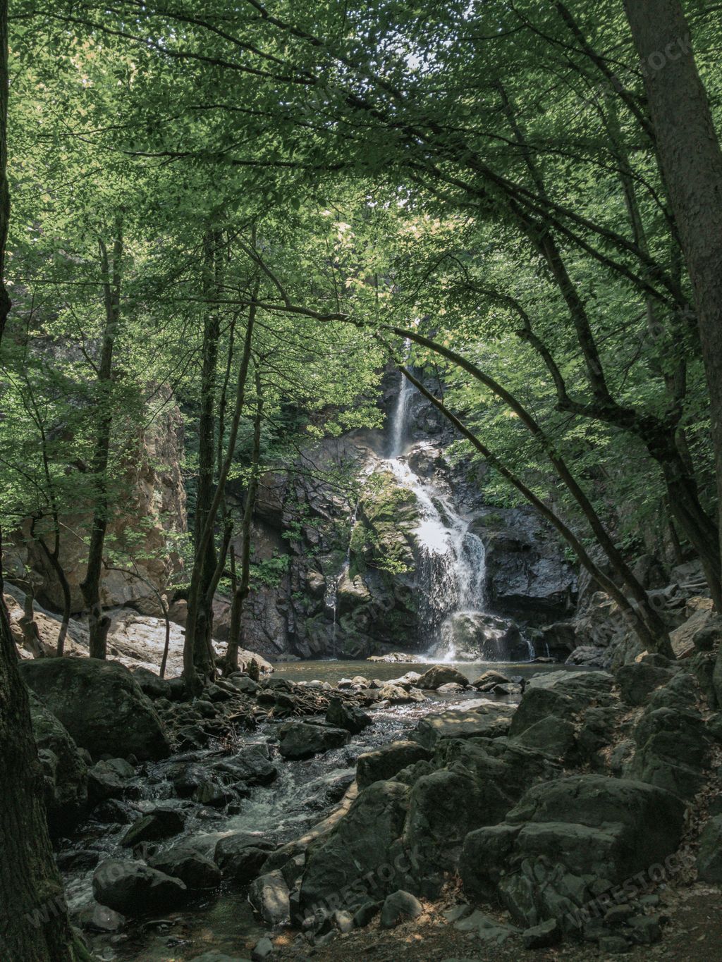 A vertical shot of a beautiful waterfall in Yalova, Turkey
