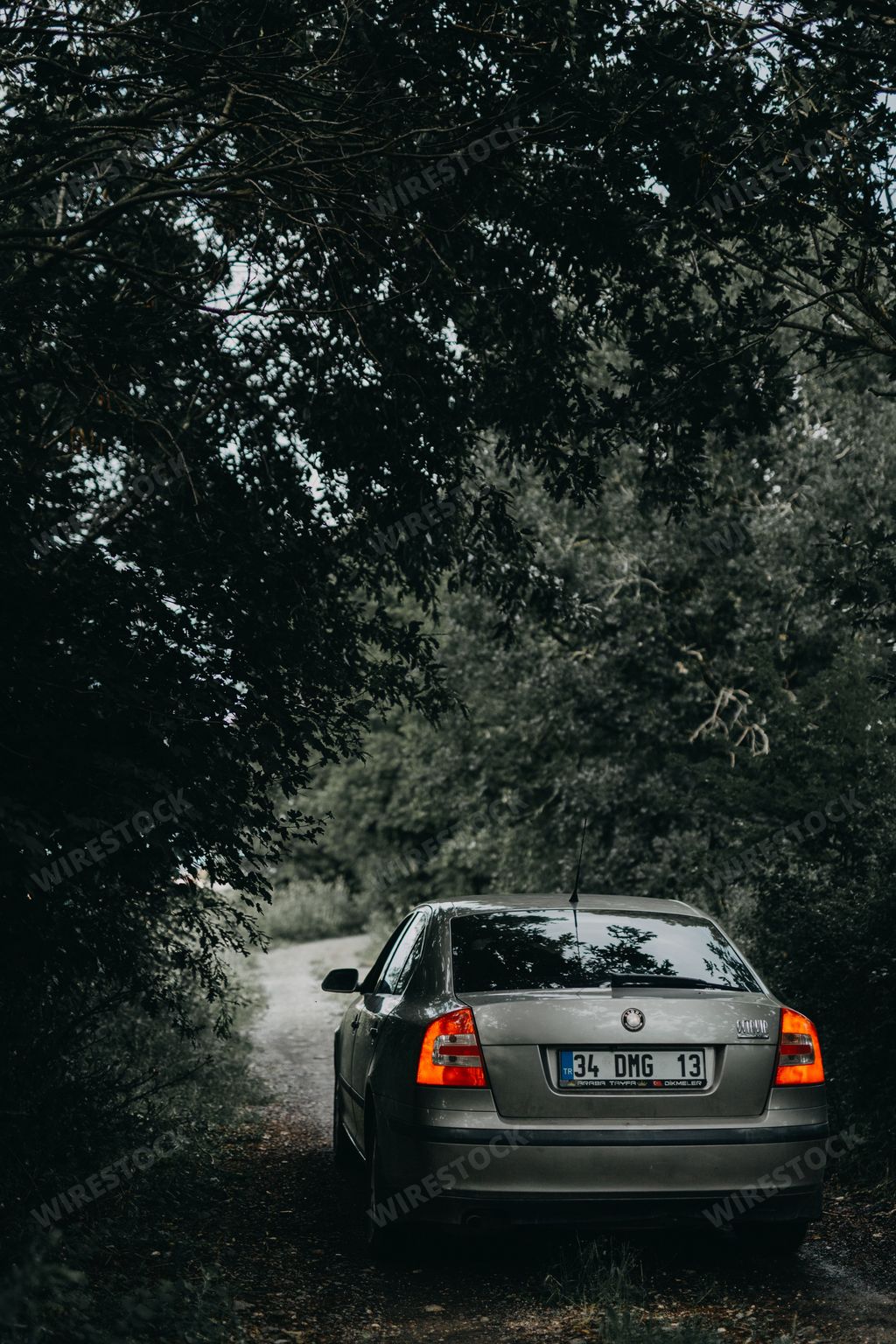 A gray Skoda Octavia parked in a forest in Istanbul, Turkey